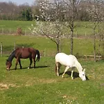 La Diligenza Tagliolo Monferrato