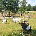 La Diligenza