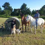 Bed & Breakfast La Diligenza