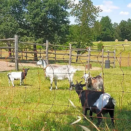 La Diligenza فندق مبيت وإفطار Tagliolo Monferrato