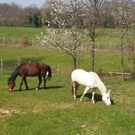 La Diligenza Tagliolo Monferrato