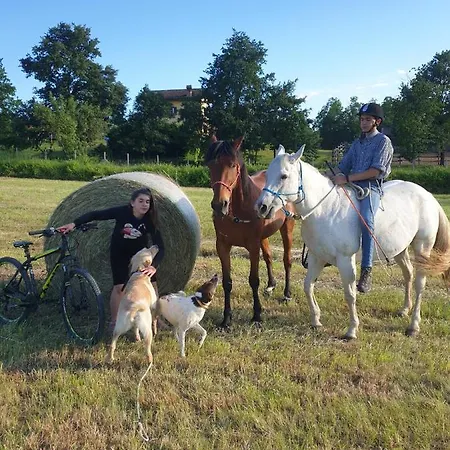 Bed & Breakfast La Diligenza