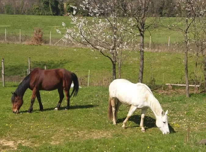 La Diligenza Tagliolo Monferrato