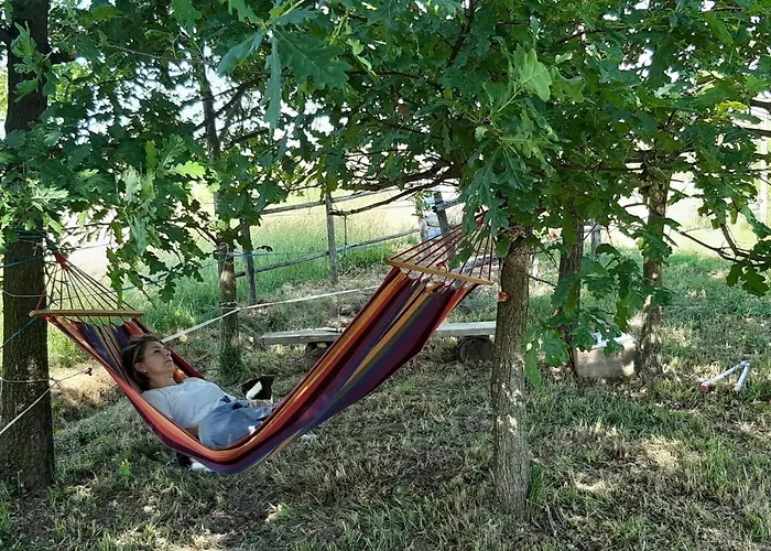 La Diligenza Bed and breakfast 3*